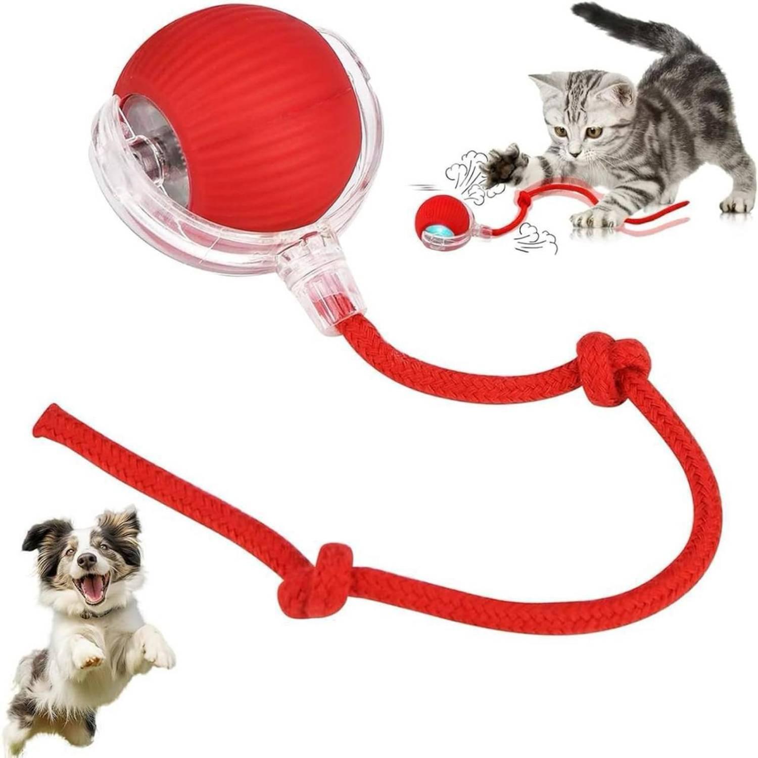 ARDAKI Cat Ball Toy for Indoor, Automatic Rolling Ball with Tail, Motion Activated Silicone Ball For Dog & Cat